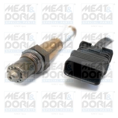 Oxygen Sensor